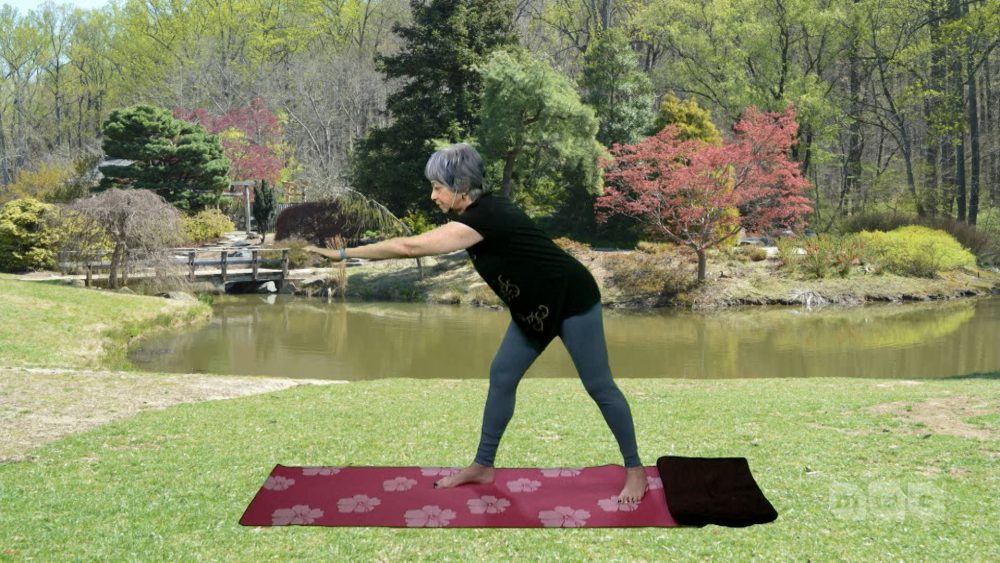 CBY.00_08_45_14.Still014