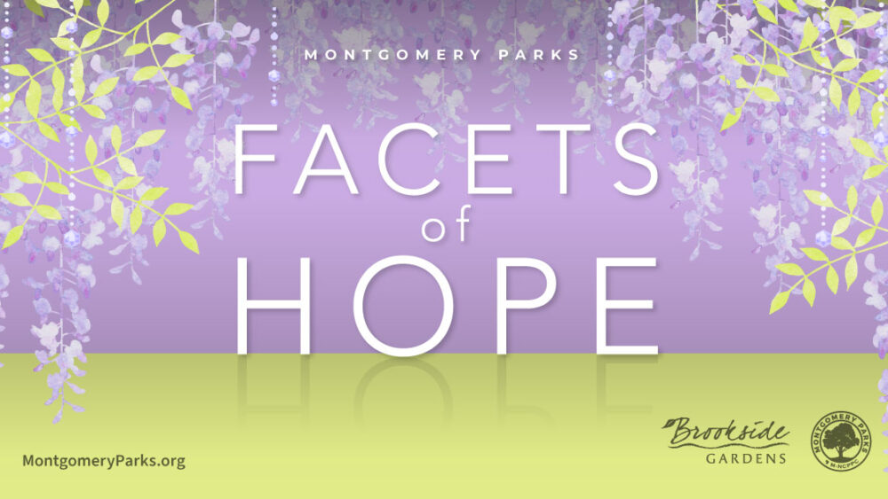 FacetsofHope
