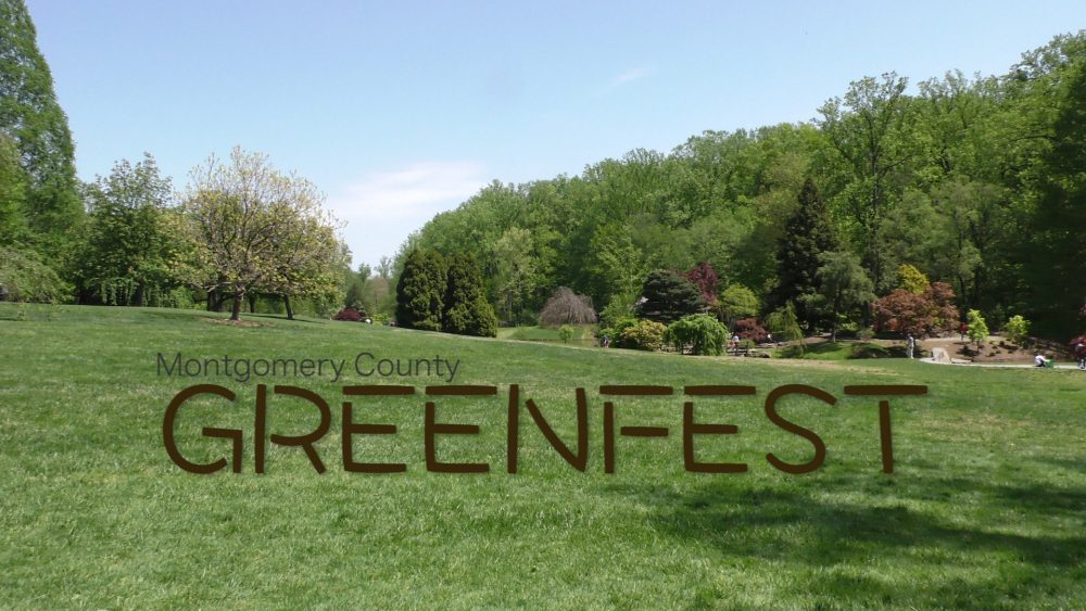 GREENFEST COVER