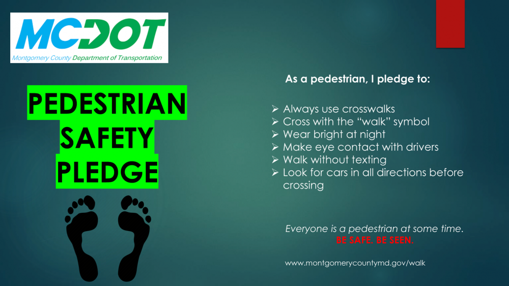 PedestrianSafetyPledge