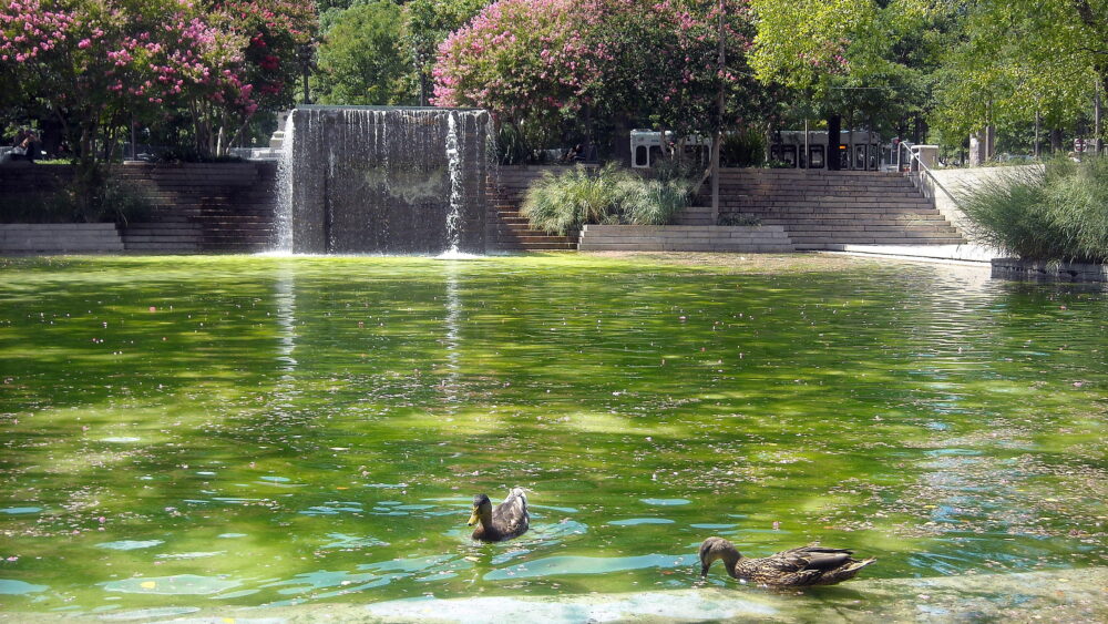 Pershing_Park_Washington_DC
