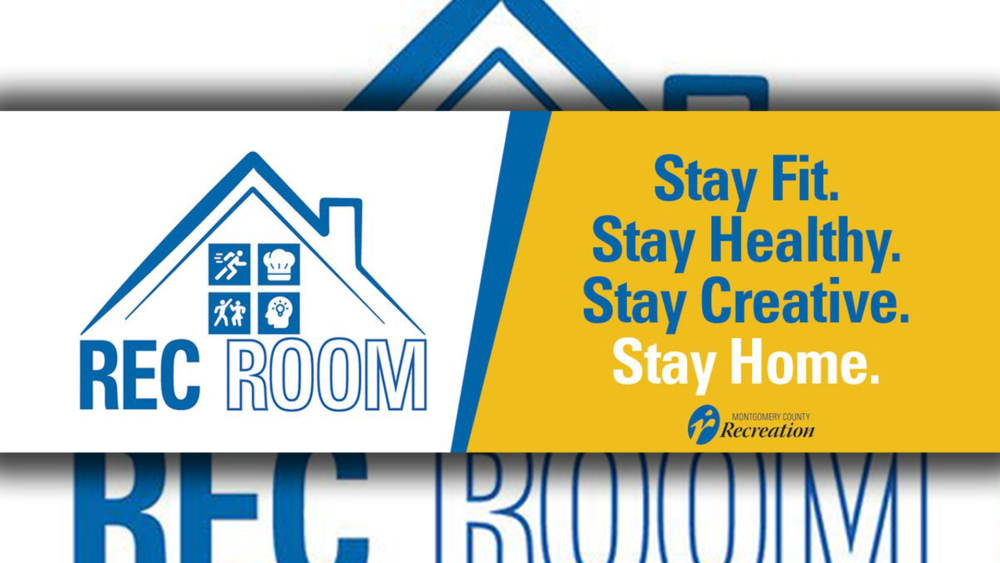RecRoomHouse