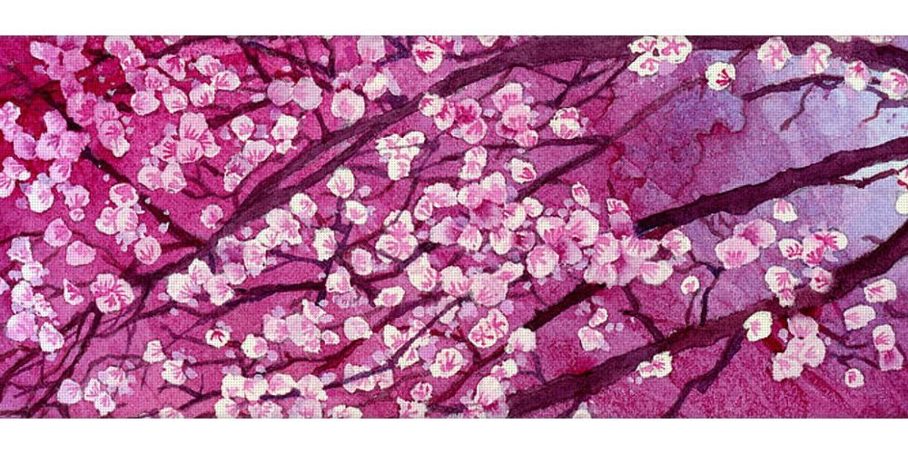 Cherry Blossoms Hailey E Herrera